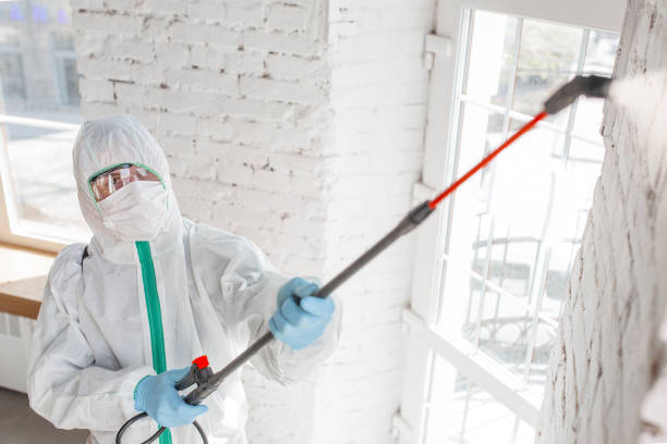 Best Mold Remediation for Healthcare Facilities  in Paris, TX