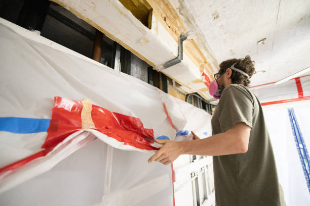 Best Post-Construction Mold Inspection  in Paris, TX