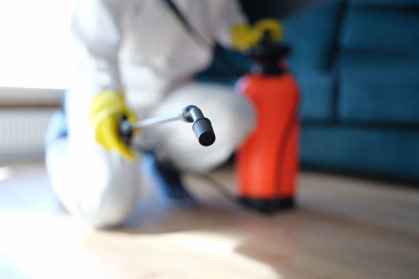 Mold Removal for HVAC Installations in Paris, TX