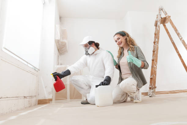 Best Attic Mold Removal  in Paris, TX